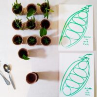 Plants